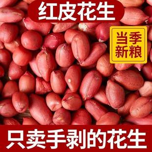 【扶余特产】新品无壳红皮花生下酒批发花生米农家自产花生香脆