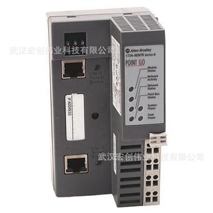 IE2V AB罗克韦尔输入模块 IE2C 1734