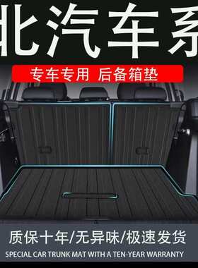 适用tpe24款北汽北京30bj40L60Plus魔方eu5x7绅宝X35后备箱垫尾箱