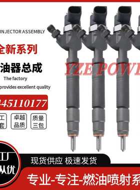 0445110177喷油器A6480700287 0445110189 0445110190 0445110176