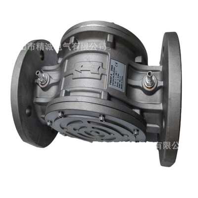 直供意大利菲奥过滤器Fiorentini 10603/F DN25过滤器 量大从优