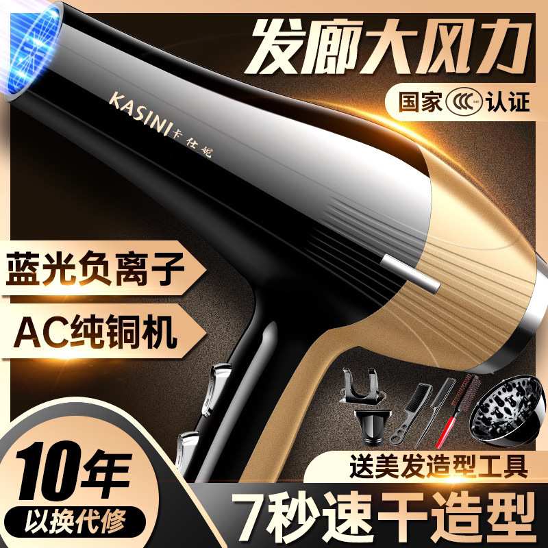 德国吹风机大风力负离子速干家用发廊理发店专用电吹风筒