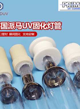 UV固化灯 PRIMARC派马UV灯紫外线uv胶光固化灯管高压汞灯大功率