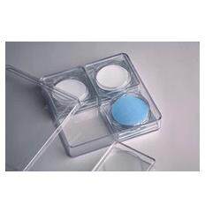 SDI污染指数测试膜 0.45μm 微孔滤膜 SDI膜 SDI滤膜