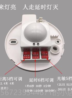 高档探者2020V智能微雷达感波应开关人体器楼梯过道可调测980R明