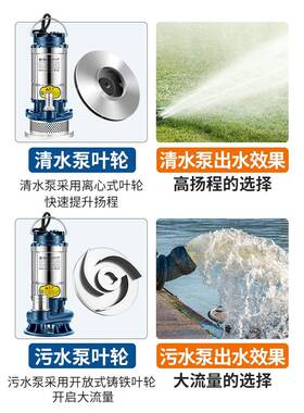 臣源不XTH锈钢潜水泵220v家用小水型高扬程井水污抽溉水泵农用灌