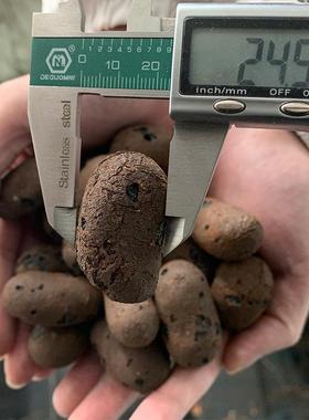 m0黏土陶粒1-大30m975畅九衢直销量价优