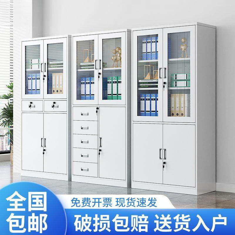 铁皮文件柜办公资料档子柜钢制凭证见详情柜家更用衣储案物柜带锁