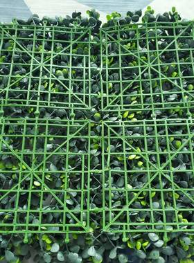 仿真金钱草草钱坪植物墙bAL-615821级燃尤阻加防利火大金草仿真植