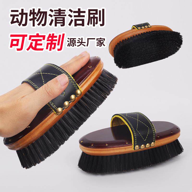 工业榉木毛刷圆形马具梳小型圆刷子动物美容清洁毛刷去浮毛刷牛刷