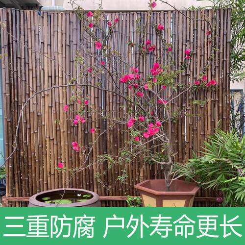 竹子栅栏篱笆围墙隔断竹竿子安全护栏竹帘庭院室内外户外田园装饰