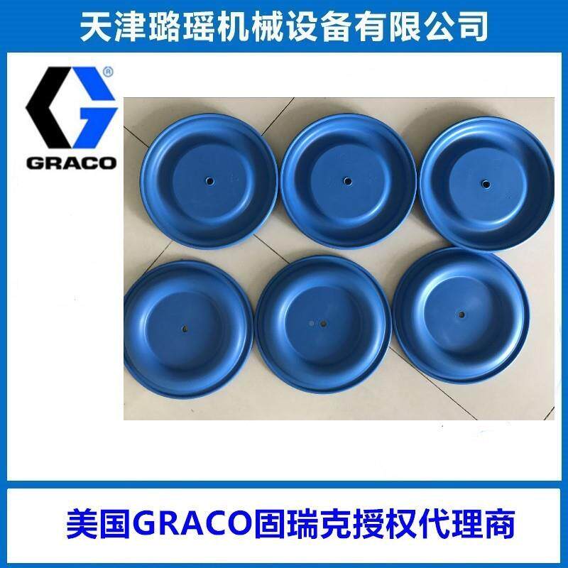 固瑞2克HUSKY150膜片维修包D0F6TAU1，流件体部备件包D60F666