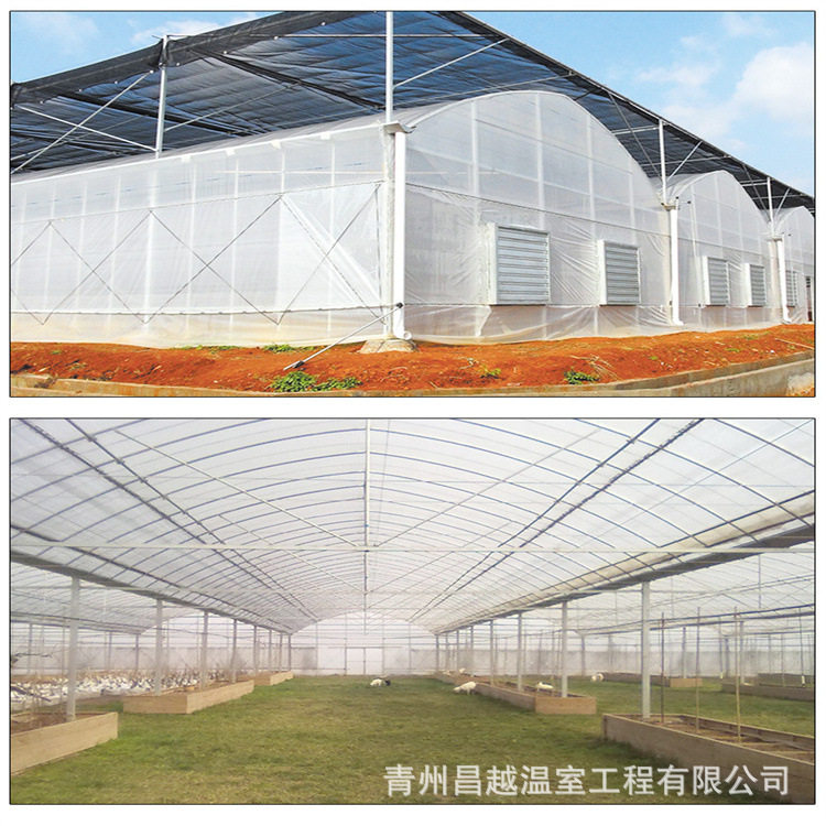施工快捷智能PO膜温室大棚