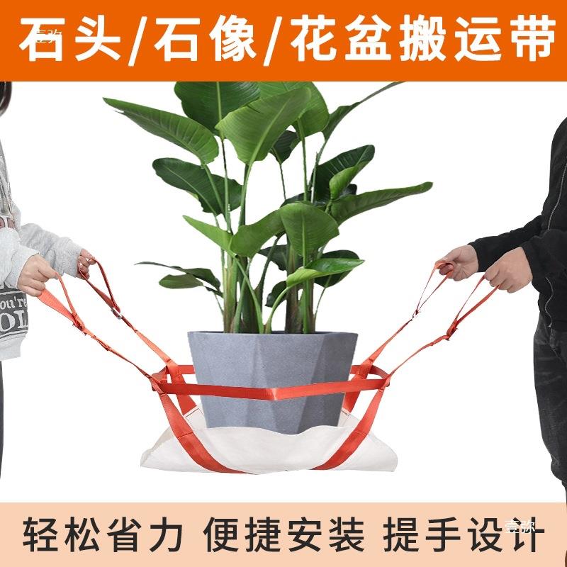 花盆搬运带固定绳盆栽背带树木移EIZ力动位托置省带上下楼物绑子