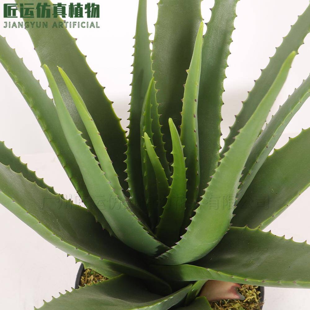 手感软胶加叶片高端大型多肉盆栽景绿植装厚植造物饰9YIW9%仿真芦