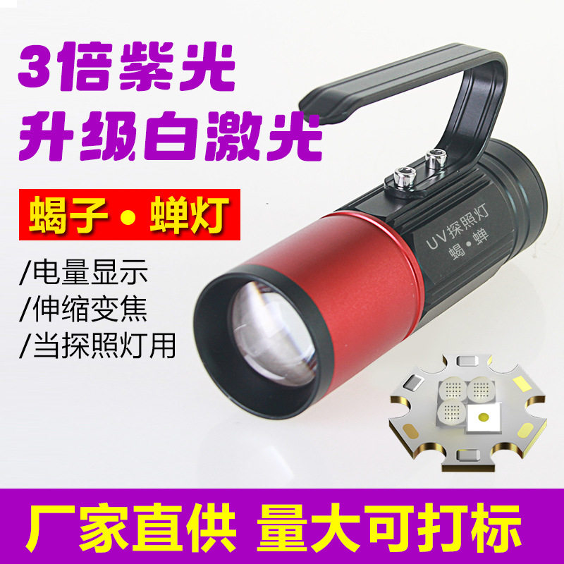 厂家货源新款多功能UV395紫光灯可充电led变焦强光蝎子灯手电筒