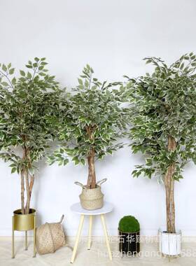 白仿真边榕树内树外室仿真小榕盆景工厂直销人造假树大型绿植HZXR