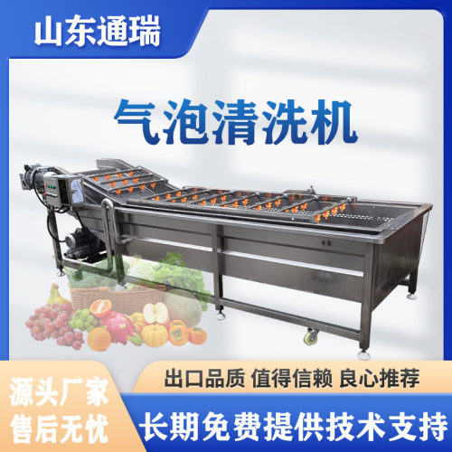 全自动不锈钢气泡清洗机喷淋式果蔬清洗机多功能预制菜净菜洗菜机