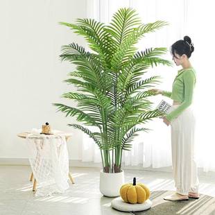 尾绿植仿造真散葵高品质假花树景植物摆室F98MTT65内客厅件装饰大