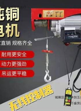 66261微型电动葫芦220V小吊装机吊遥粮家用1吨提升机0.5吨控升降