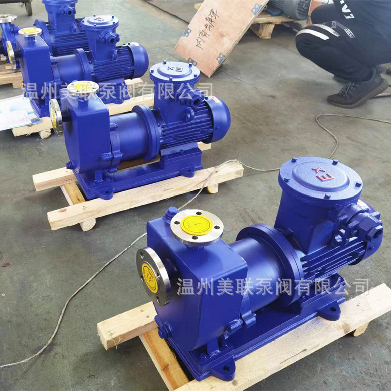 ZCQ65-50-160 ZCQ自吸磁力泵  不锈钢自吸磁力泵 温州厂家