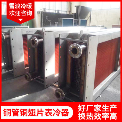 工业非标铜翅片表冷器