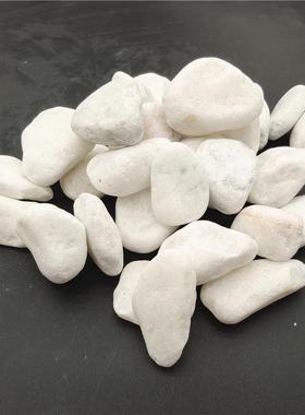 白色石山子园垫林铺路庭院装饰白色19石子白枯水造景色砾石子脚石