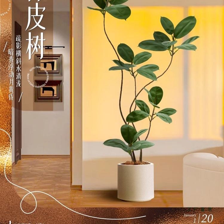 大型厅落地电JEQ摆件室客内沙发视柜旁边假植物黑金刚皮树仿真绿