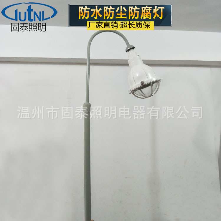 立杆防爆防腐节能灯 FAD-L70W/100W 防水防尘防腐防爆金卤灯壁灯