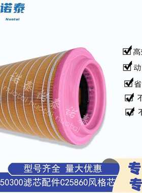 卡特131-8822/滤芯AF25589滤芯132-8821滤芯AF26521