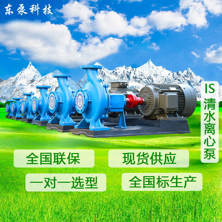 东泵卧式清水离心泵高温工业用
