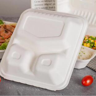 直销9寸三格锁盒打包外卖菜饭餐具加厚环保可降解甘蔗浆饭盒
