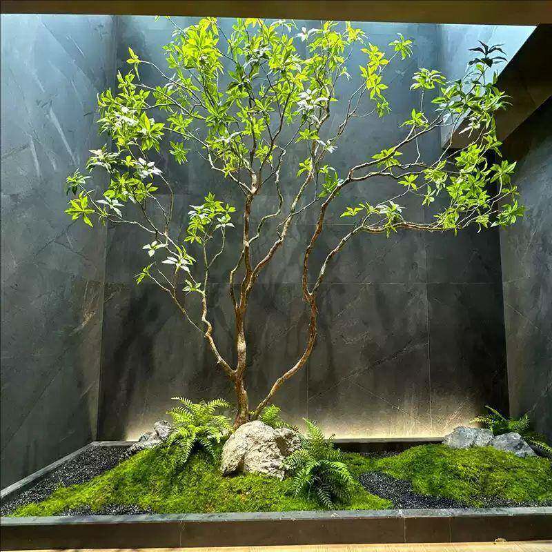马醉木窗天井马醉木04造景装植物真室内橱仿绿植大型假树饰树景观