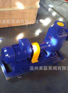 WZ00-MBA18060自吸-排污泵无堵塞自吸排污泵排污自吸泵