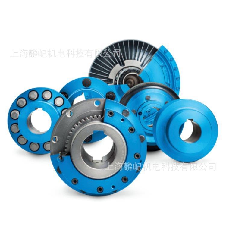 德国FLENDER弗兰德减速机H1SH05B逆止器H1SH11B齿轮B2SV10B联轴器
