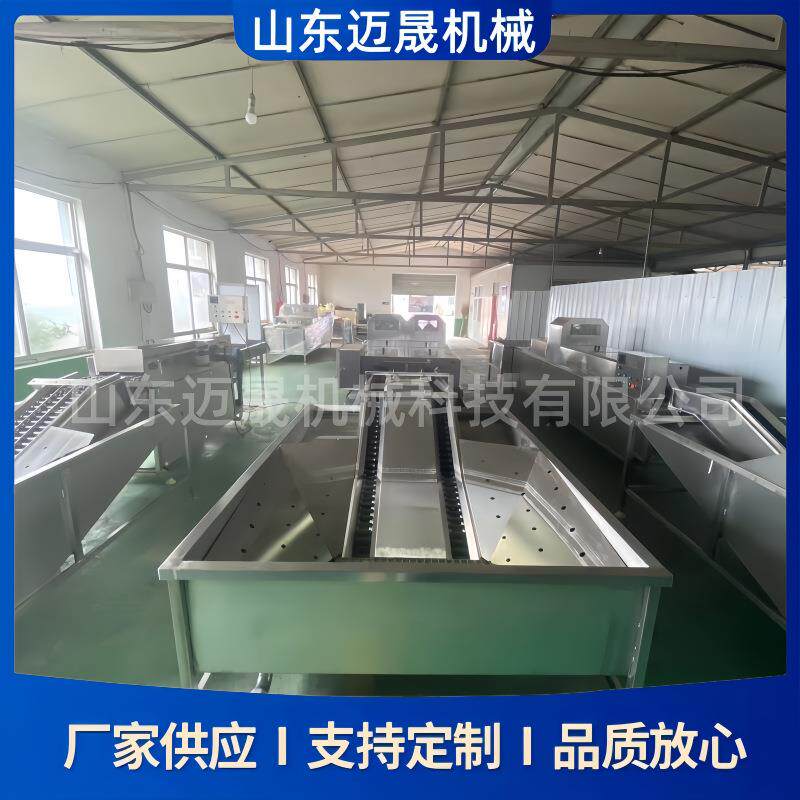 鹌鹑蛋鸭蛋清洗设备毛刷鸡蛋鹅蛋清洗机大型喷油喷码保鲜洗蛋机