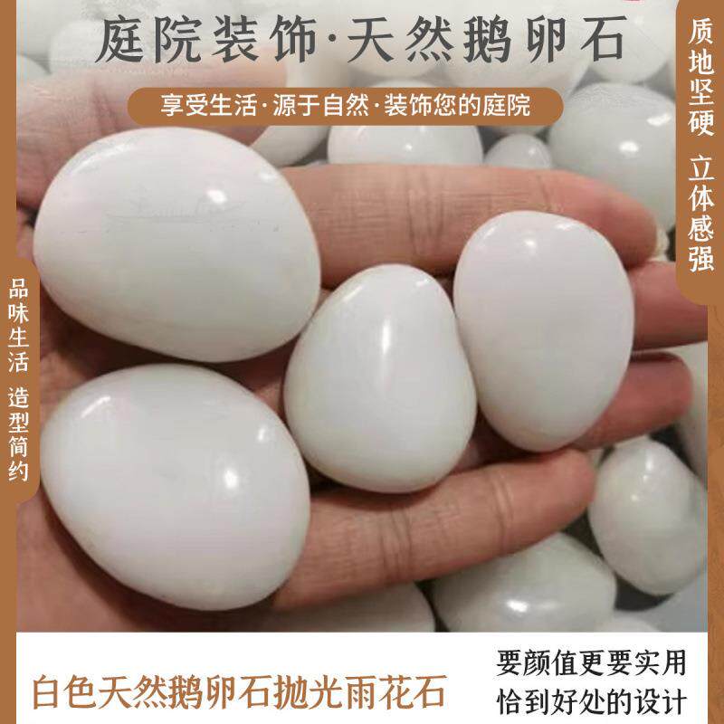 天然白色鹅卵石造景雨花石庭院铺路纯白色石头鱼缸石抛光园林盆栽