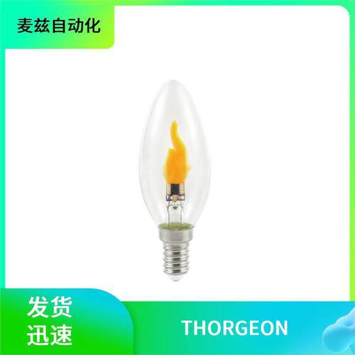 THORGEON带点火器的SX-T型03049壁灯泛光灯PRO筒灯
