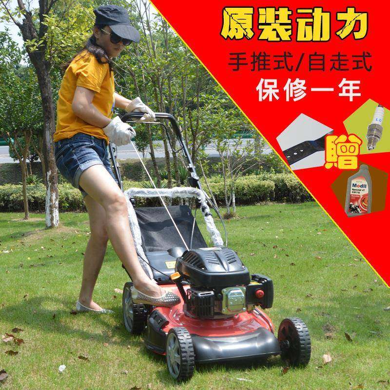 斯特克汽油割草机四冲程草坪机手推式自走式家用剪除草机