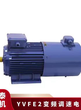 鸿泰低压三相异步电机tYVFE2-100L-2t3KWt380Vt性能卓越 效率高