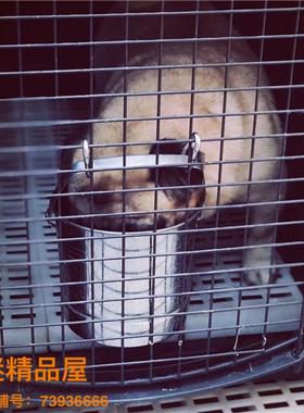 狗狗喝ps570600水挂桶不水锈钢狗笼挂式饮水桶饮大型犬器悬式水壶