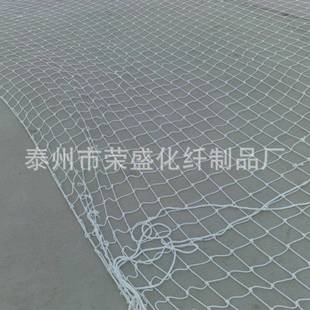 直销防坠安全网阻燃安全网江苏安全网价格合理