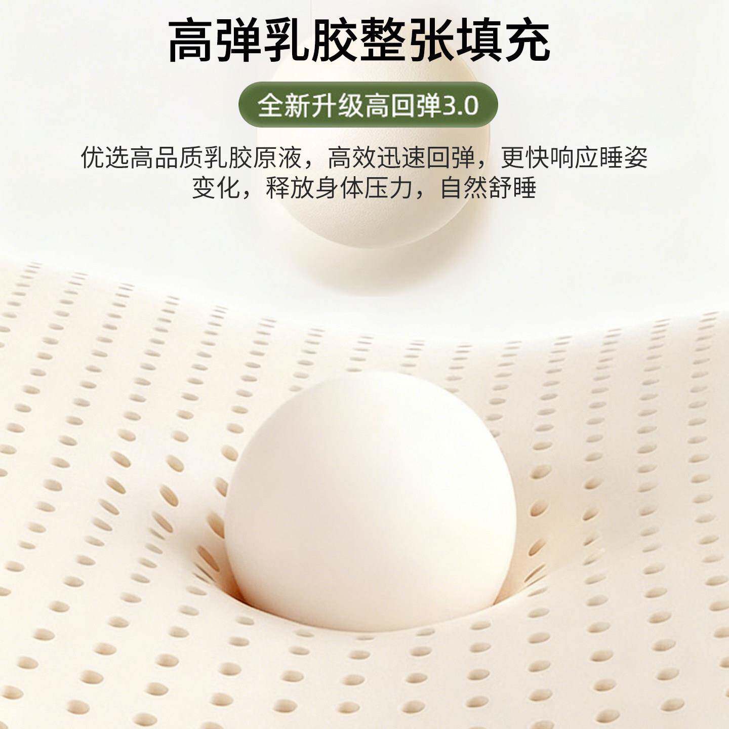 乳胶床垫遮盖物软垫家用卧室180x200宿舍单人租房用海绵床褥