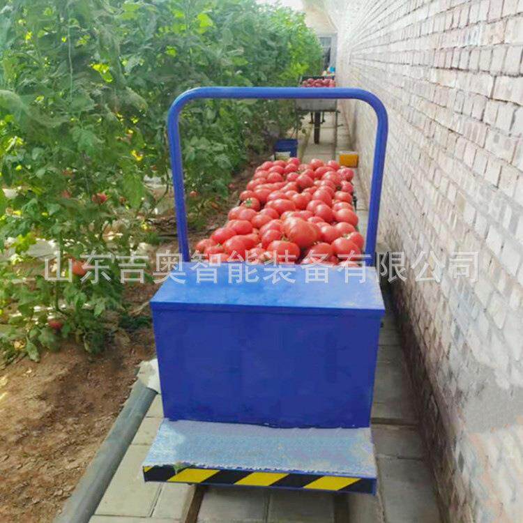 蔬菜大棚电动平板车小型轨道搬运车遥控四轮轨道车功率大载重高