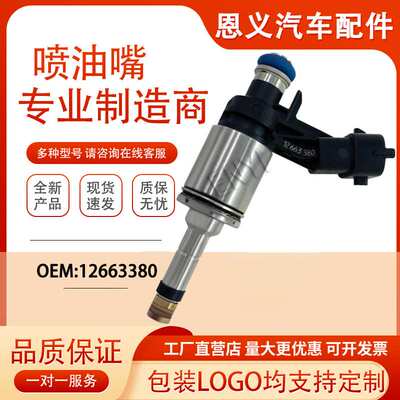 12663380~0261500303适用于别克昂科雷3.6 燃油喷射器 直喷喷油嘴