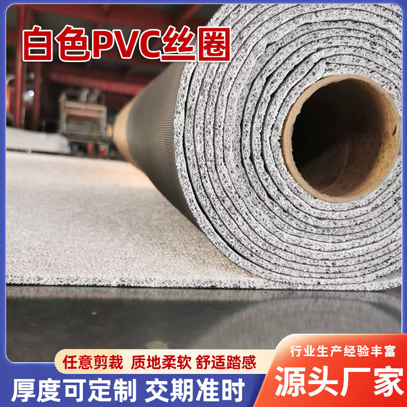 厂家直销pvc丝圈地垫 平底钉底塑胶地垫 PVC地毯汽车进门入户地垫