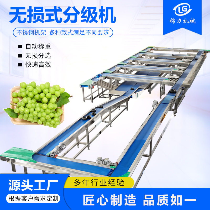 无损式重量分选机 青芒榴莲柚子智能分拣 芒果甜瓜西瓜重量分选