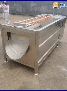 洗果去蔬类设备FH1500毛刷皮D清洗机清莲藕毛辊879清洗机
