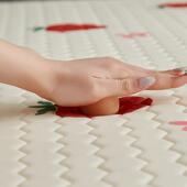 加感丝印花款 立体乳胶记忆棉床256垫乳胶床垫凉软垫家用双厚单人