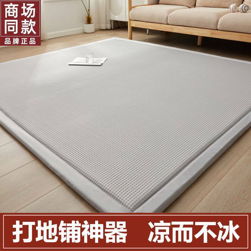 夏季打地铺神器软垫家用凉席地垫客厅卧室睡垫儿童爬行榻榻米垫子